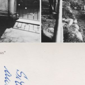 Ausschnitt zur Qualitätsprüfung vom Digitalen Bild Qualität