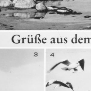 Ausschnitt zur Qualitätsprüfung vom Digitalen Bild Qualität