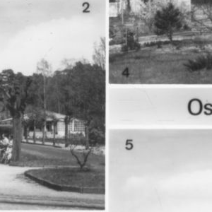 Ausschnitt zur Qualitätsprüfung vom Digitalen Bild Qualität
