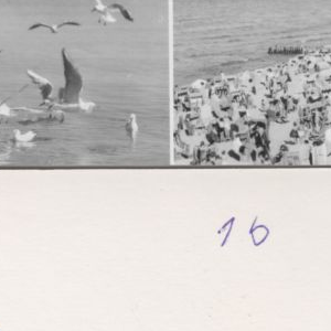 Ausschnitt zur Qualitätsprüfung vom Digitalen Bild Qualität