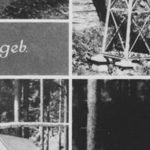 Ausschnitt zur Qualitätsprüfung vom Digitalen Bild Qualität