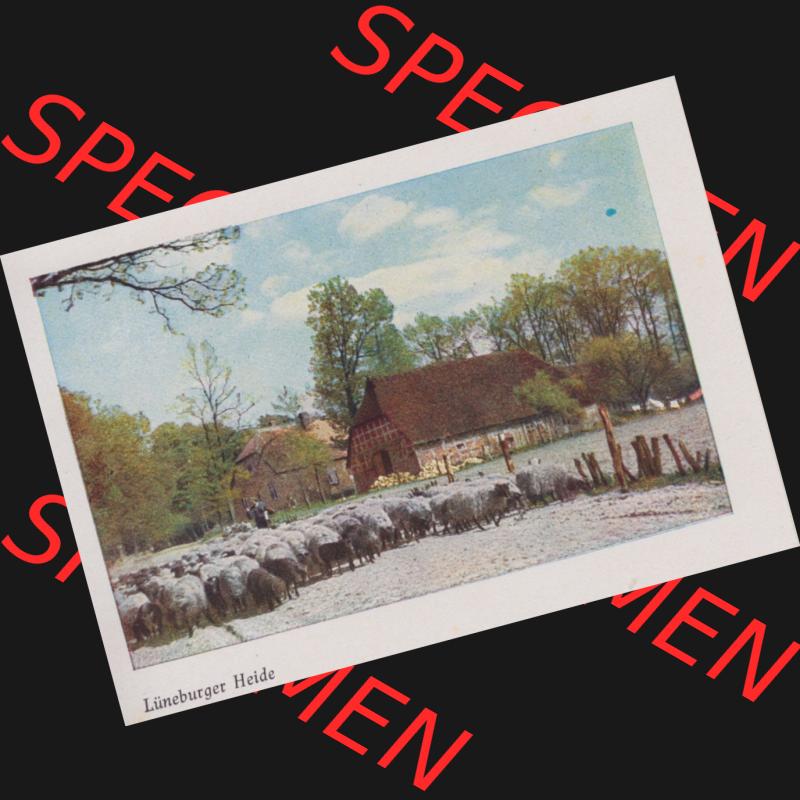 Lithographien Fotos, Heldge-Verlag Köthen/Anhalt Deutschland im farbigen Bild - 50 Heldge-farb-fotos Lüneburger Heide II. Sammlung von 50 Heldge-farb-fotos des Heldge-Verlages... Sammlung