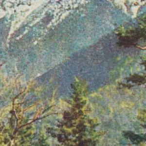 Ausschnitt zur Qualitätsprüfung vom Digitalen Bild Qualität
