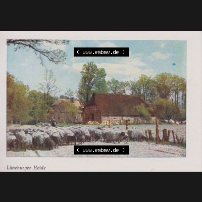 Lithographien Fotos, Heldge-Verlag Köthen/Anhalt Deutschland im farbigen Bild - 50 Heldge-farb-fotos Lüneburger Heide II. Sammlung von 50 Heldge-farb-fotos des Heldge-Verlages... Sammlung