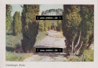 Heldge-Verlag Köthen/Anhalt Deutschland im farbigen Bild - 50 Heldge-farb-fotos Lüneburger Heide I, zum herunterladen freigegeben Sammlung