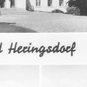 Ausschnitt zur Qualitätsprüfung vom Digitalen Bild Qualität
