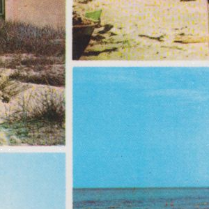 Ausschnitt zur Qualitätsprüfung vom Digitalen Bild Qualität