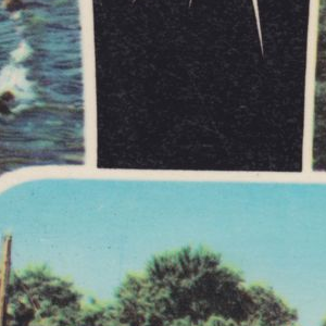 Ausschnitt zur Qualitätsprüfung vom Digitalen Bild Qualität