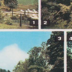 Ausschnitt zur Qualitätsprüfung vom Digitalen Bild Qualität