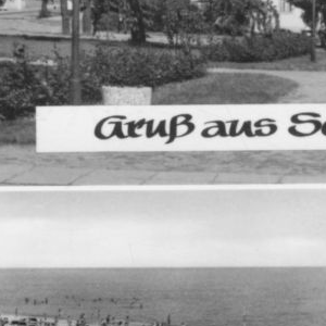 Ausschnitt zur Qualitätsprüfung vom Digitalen Bild Qualität