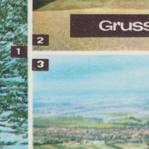 Ausschnitt zur Qualitätsprüfung vom Digitalen Bild Qualität