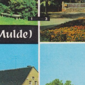 Ausschnitt zur Qualitätsprüfung vom Digitalen Bild Qualität