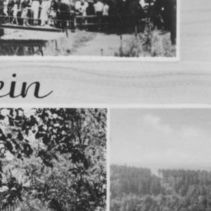 Ausschnitt zur Qualitätsprüfung vom Digitalen Bild Qualität