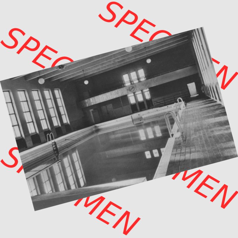 Ansicht Einbildkarte Erhard Neubert KG - Karl-Marx-Stadt DDR Sachsen 1961, Döbeln in Sachsen, Stadtbad, Schwimmhalle mit 25m Bahn, auf Einbildkarte. Digitales Bildmaterial... Sammlung