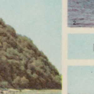 Ausschnitt zur Qualitätsprüfung vom Digitalen Bild Qualität