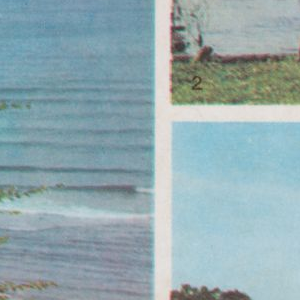 Ausschnitt zur Qualitätsprüfung vom Digitalen Bild Qualität