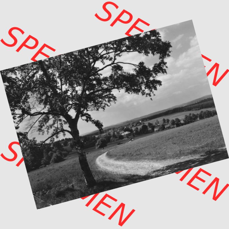 Dick-Foto-Verlag Erlbach I.V. aus Sammlung Sommerfrische Wernitzgrün i. Vogtland. Das Digital JPG-Bild der Ansichtskarte aus einen Ort im Vogtland der DDR im Vogtland kann... Sammlung