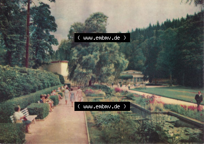 Dick-Foto-Verlag Erlbach I.V. aus Sammlung Staatsbad Bad Elster, Goldfischbassins am Badeplatz. Sammlung