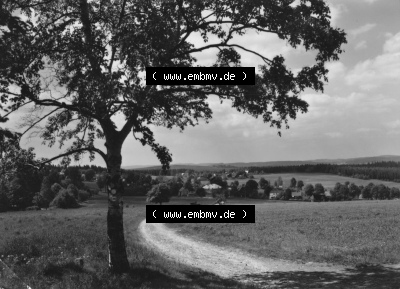 Dick-Foto-Verlag Erlbach I.V. aus Sammlung Sommerfrische Wernitzgrün i. Vogtland. Sammlung