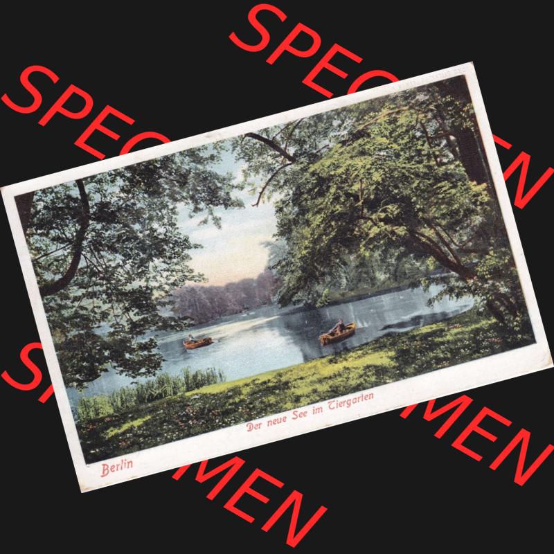 Ansichtskarten aus dem Deutschen Reich, Berlin-Tiergarten Der neue See im Tiergarten, fast Postfrische Postkarte (1) Sammlung