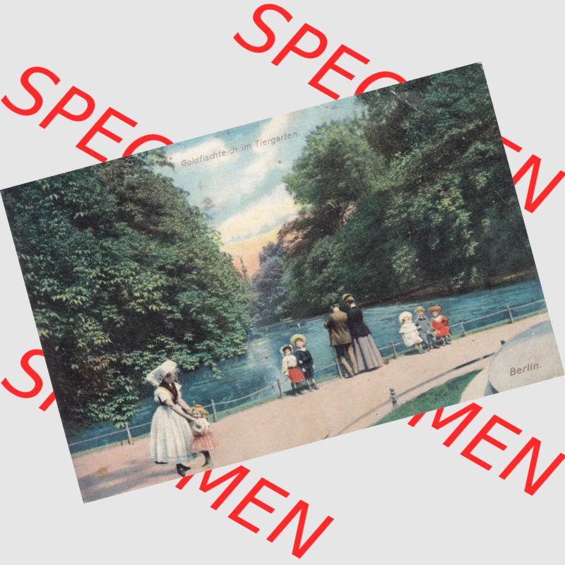 Ansichtskarten aus dem Deutschen Reich, Berlin-Tiergarten 1906, Goldfischteich im Tiergarten, mit Briefmarke gestempelt 1906 (1) Sammlung