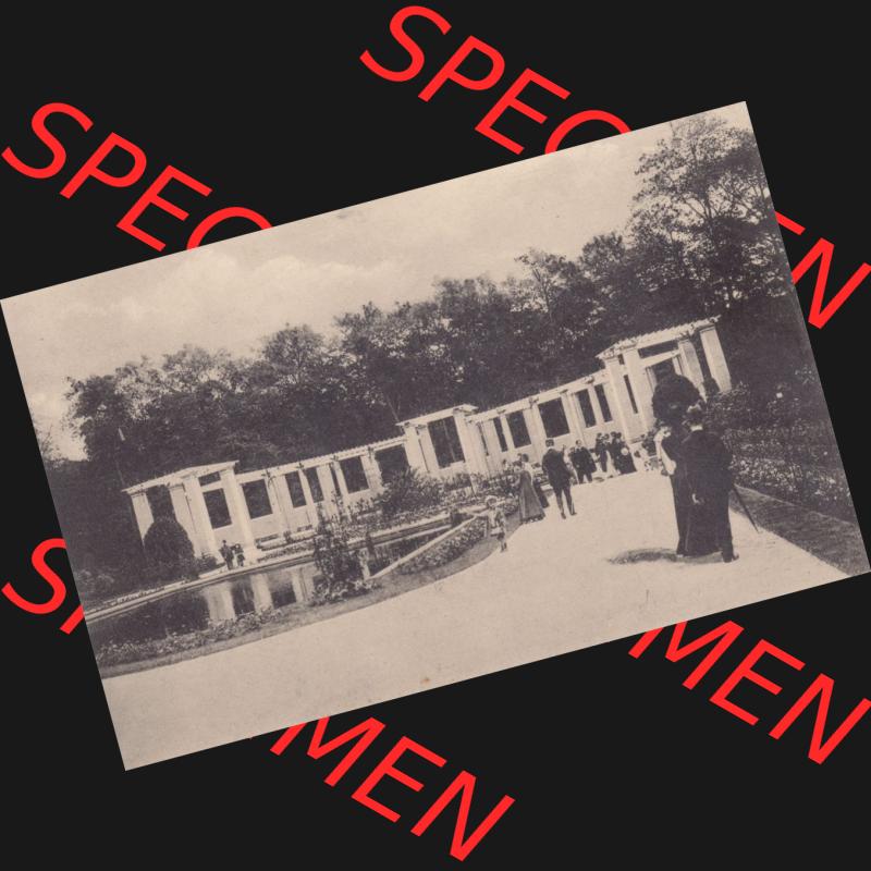Ansichtskarten aus dem Deutschen Reich, Berlin-Tiergarten 1900-1930, ungelaufen, Im Tiergarten, Rosengarten, ungelaufen (1) Sammlung