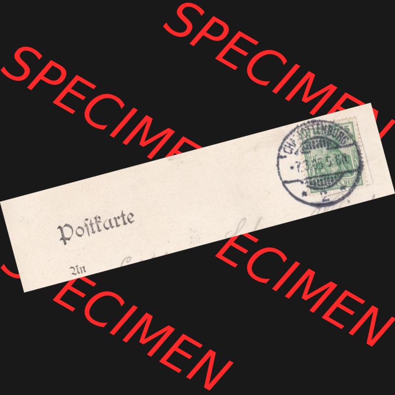 Ansichtskarten aus dem Deutschen Reich, Berlin-Tiergarten 1905, Löwenbrücke Tiergarten, Saalfeld, Briefmarke mit 1905 gestempelt (2) Sammlung