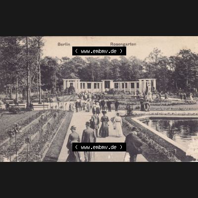 Ansichtskarten aus dem Deutschen Reich, Berlin-Tiergarten 1900-1930, 1917, Rosengarten in Berlin, gelaufen 1917 (1) Sammlung