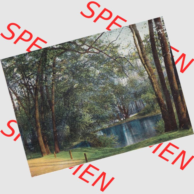 Ansichtskarten aus dem Deutschen Reich, Berlin-Tiergarten Tiergarten am neuen See Charlottenburg 1912, Stempel und BRiefmarke (1) Sammlung