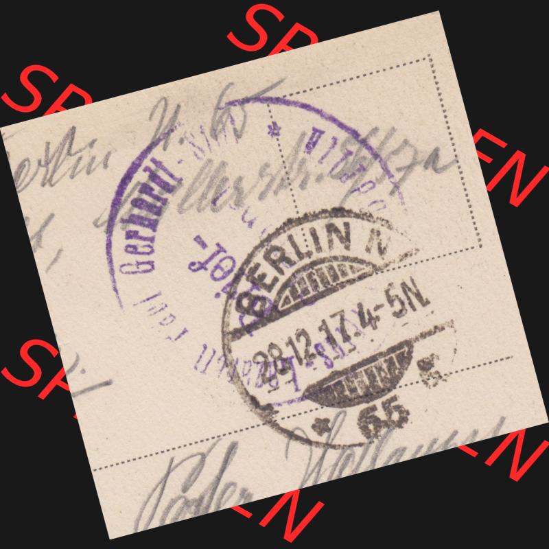 Ansichtskarten aus dem Deutschen Reich, Berlin-Tiergarten 1900-1930, 1917, Rosengarten in Berlin, gelaufen 1917 (2) Sammlung
