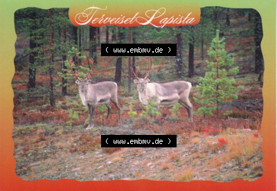 Ansichtskarte Finnland, Stadt Helsinki: Tiere im Wald, Zwei Hirsche (1) Sammlung