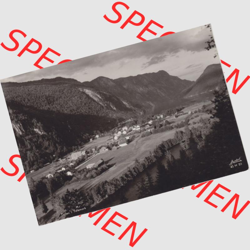 Ansichtskarte Norwegen Dalen i. Telemark Norge I.. Ansichtskarte bzw. Postkarte aus Norwegen / Norge alte Dalen i. Telemark Norge - Postkarte in s/w. Die... Sammlung