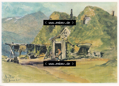 Ansichtskarte bzw. Postkarte aus Island / Iceland Sammlung