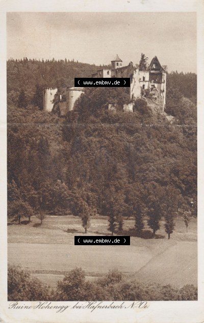 Ansichtskarte Österreich / Austria, Bundesland Niederösterreich: Unsortiert in s/w Schwarzweiß Ruine Burg Hohenegg bei Hafnerbach... Sammlung