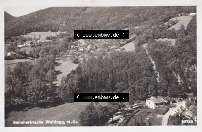 Ansichtskarte Österreich / Austria, Bundesland Niederösterreich: Unsortiert in s/w Schwarzweiß Sommerfrische Waldegg (1) Sammlung