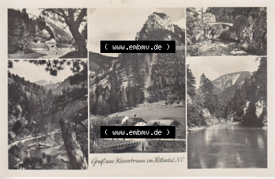Ansichtskarte Österreich / Austria, Bundesland Niederösterreich: Unsortiert in s/w Schwarzweiß Gruß aus Kaiserbrunn im Höllental... Sammlung