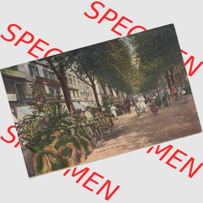 Sammlung