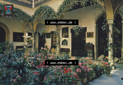 Ansichtskarte Spanien Sevilla, in Farbe / Color Patio sevillano. Ansichtskarte aus Spanien Sevilla in Farbe, im online Katalog... Sammlung