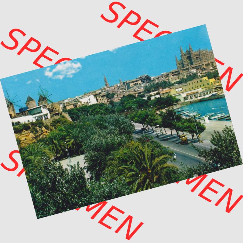 Ansichtskarte Spanien Mallorca Farbe/Color, Mallorca - Palma. Ansichtskarte aus Spanien Mallorca in Farbe, im online Katalog für private Ansichtskarten-Sammler, Verwalte,... Sammlung