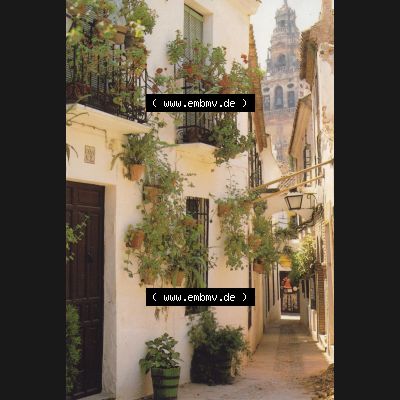 Ansichtskarte Spanien Sevilla, in Farbe / Color Sevilla Calle tipica andaluza. Ansichtskarte aus Spanien Sevilla in Farbe, im online Katalog für private Ansichtskarten-Sammler,... Sammlung