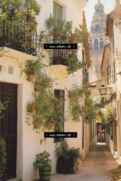 Ansichtskarte Spanien Sevilla, in Farbe / Color Sevilla Calle tipica andaluza. Ansichtskarte aus Spanien Sevilla in Farbe, im... Sammlung