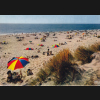 Digitales Bild Weiter