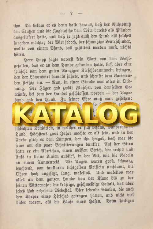 Bild