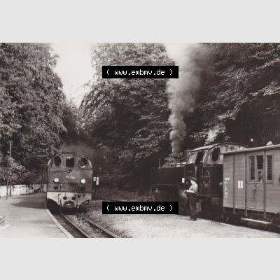 DDR Dampflokomotive aus Deutschland Bäderbahn Bad Doberan - Ostseebad Kühlungsborn Bahnhof Heiligendamm (1) Sammlung