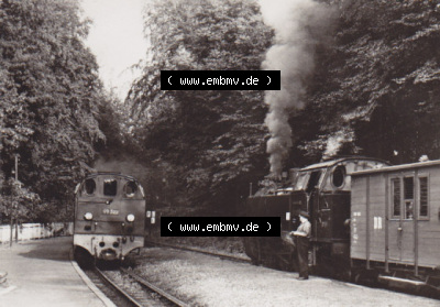 DDR Dampflokomotive aus Deutschland Bäderbahn Bad Doberan - Ostseebad Kühlungsborn Bahnhof Heiligendamm (1) Sammlung