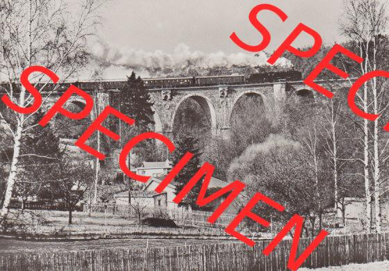 DDR Dampflokomotive aus Deutschland 1982, Baureihe 50, Sonderzug bei Plauen (1) Sammlung