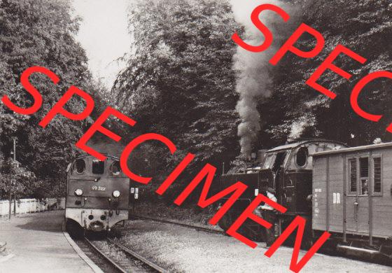 DDR Dampflokomotive aus Deutschland Bäderbahn Bad Doberan - Ostseebad Kühlungsborn Bahnhof Heiligendamm (1) Sammlung