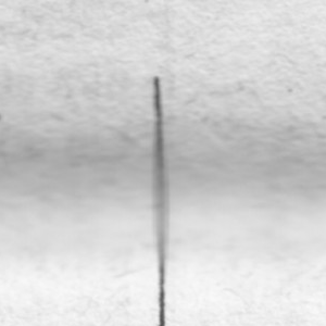 Urheber Mittelbild