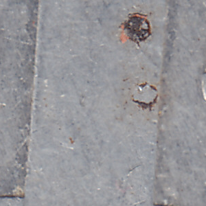 Urheber Mittelbild