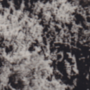 Urheber Mittelbild